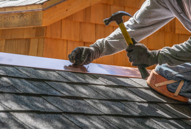 Best Solar Panel Roofing Installation  in Lumbine, CO